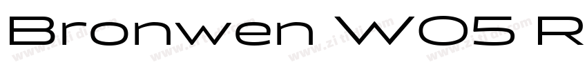 Bronwen W05 Regular字体转换